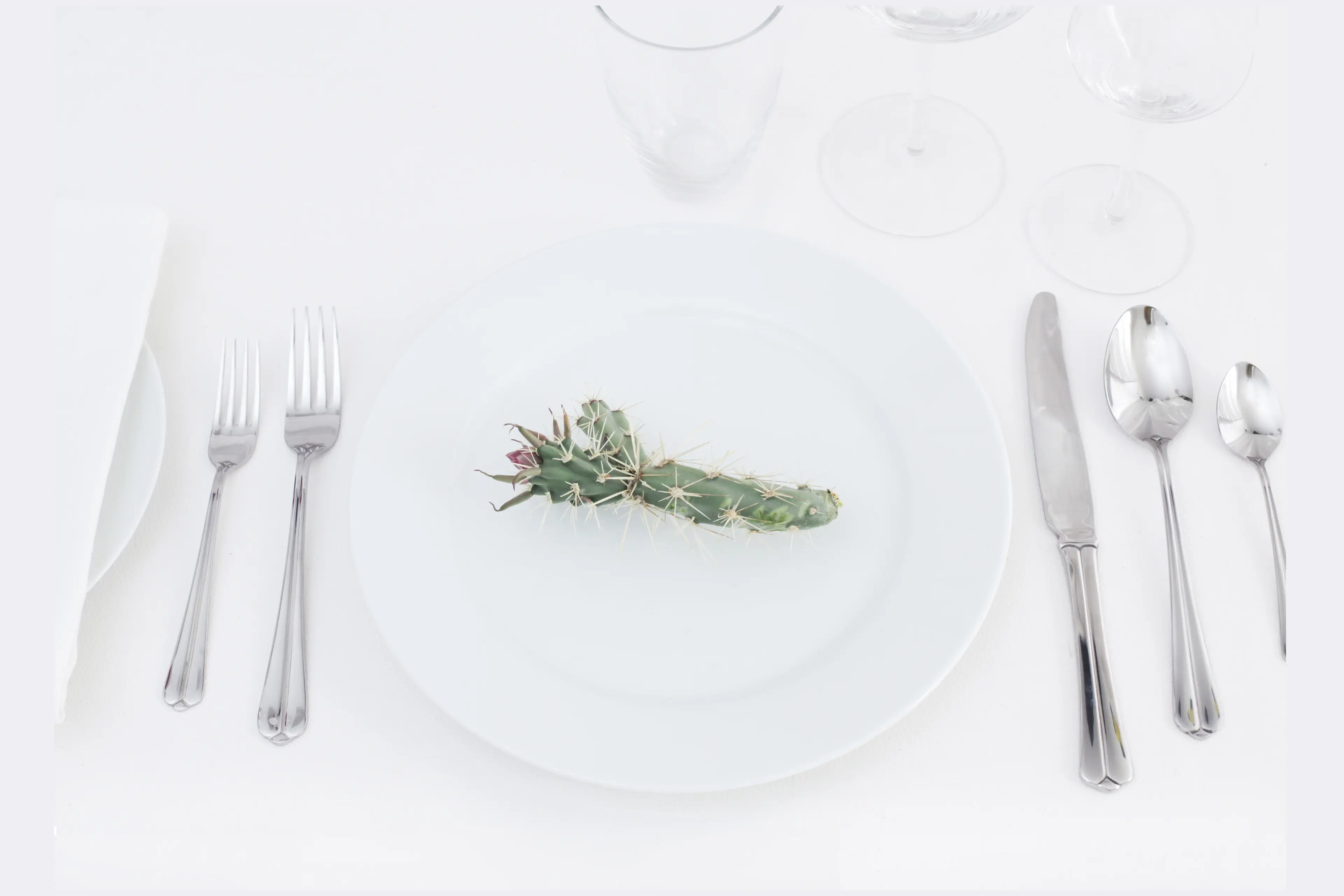 Photo of white plate on white table cloth with two forks on the left and a knife and two spoons on the right.  A small green cactus with pricks sits on the plate