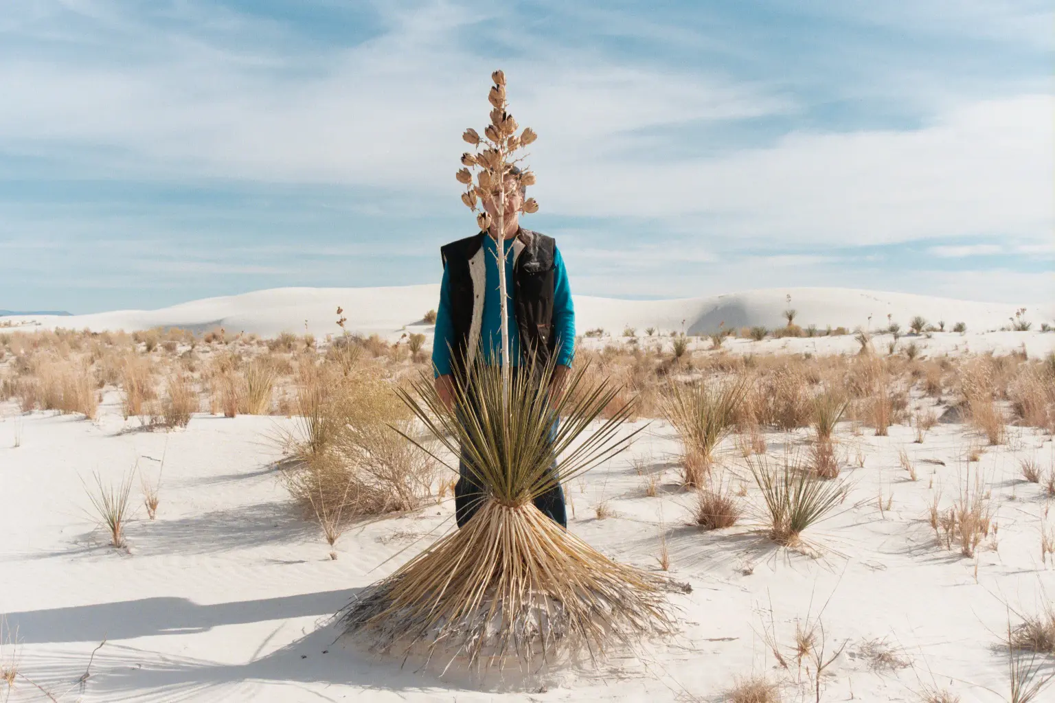 Photo of  Steven Feld in the desert standing behind dry plant half covering his face with sand dunes in the background.